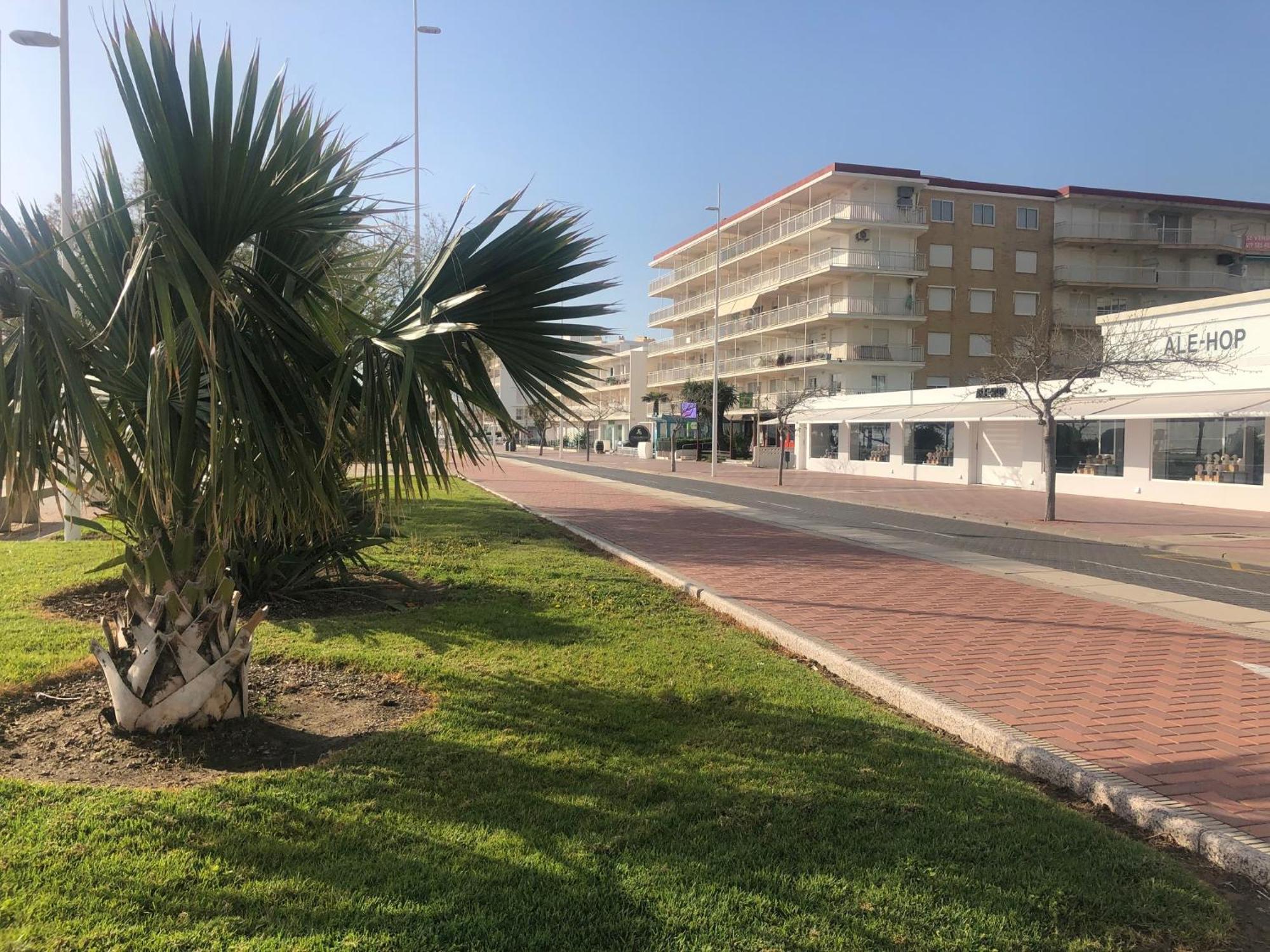Apartamento Playa de Gandia 1ere ligne El Galeon Exterior foto
